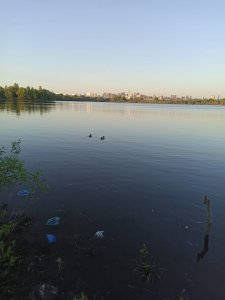 Городская рыбалка.