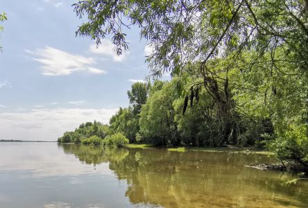 Отводной опять. Обь, левый берег в Н-ске.