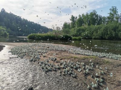 Первые километры "водомётинга"...