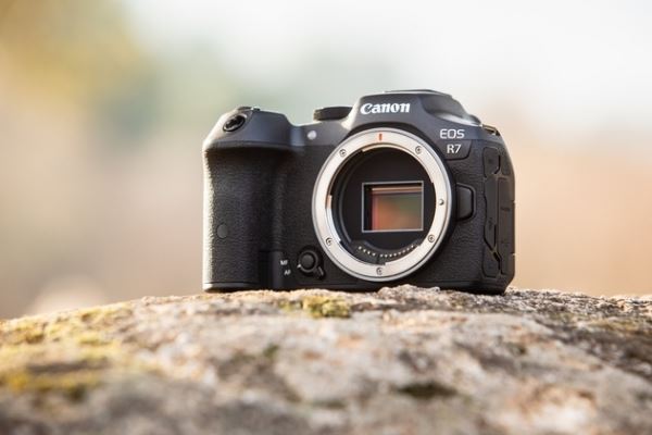 Canon EOS R7 и EOS R10: кропнутые беззеркалки с байонетом RF