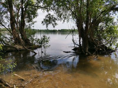 Отводной опять. Обь, левый берег в Н-ске.