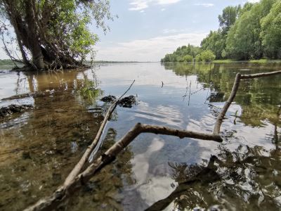 Отводной опять. Обь, левый берег в Н-ске.