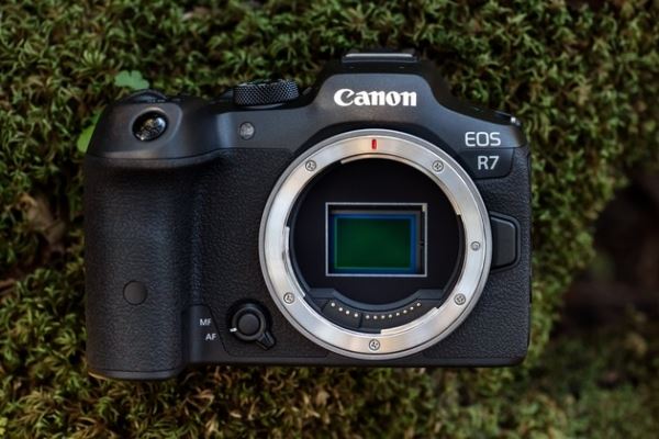 Canon EOS R7 и EOS R10: кропнутые беззеркалки с байонетом RF